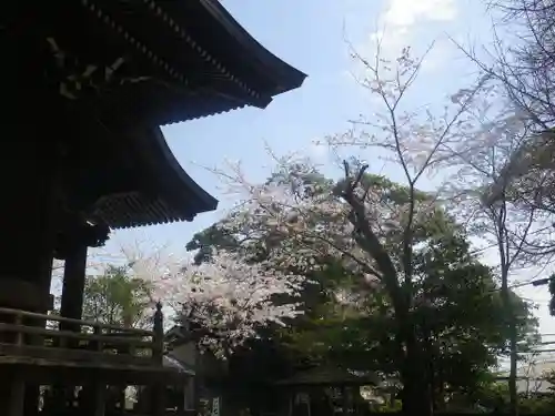 御霊神社のその他建物