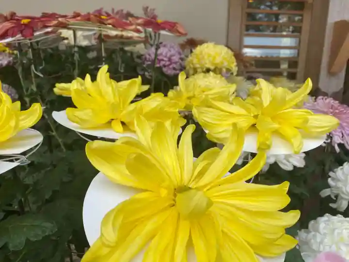 美奈宜神社(福岡県)