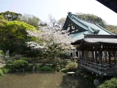 光明寺の庭園