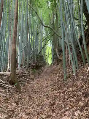 八幡神社(千葉県)