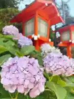 穴八幡宮(東京都)