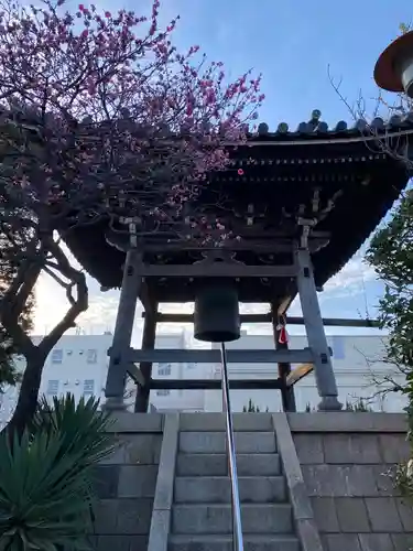 錫杖寺(埼玉県)