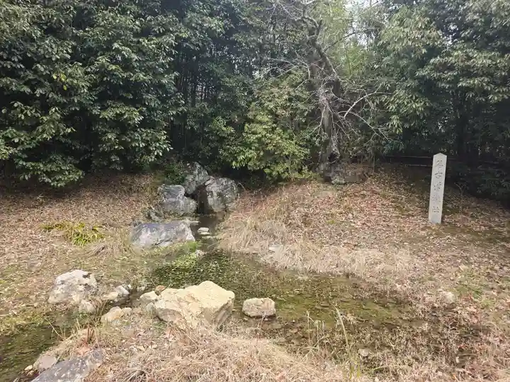 大覚寺(京都府)