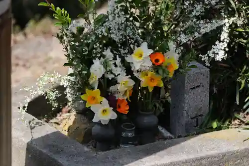 藤白神社の自然
