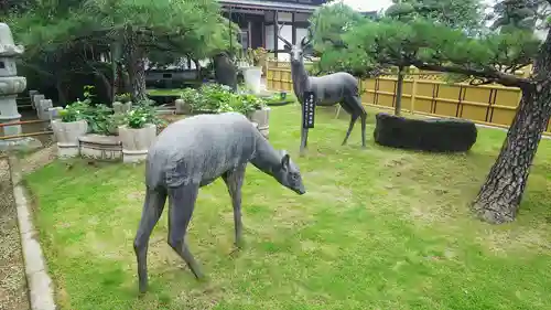 最明寺の狛犬