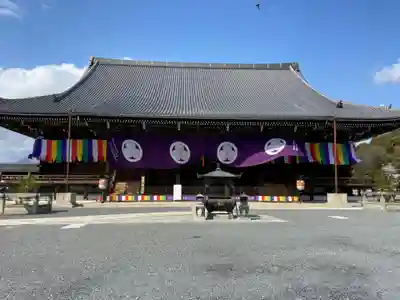 知恩院の本殿・本堂