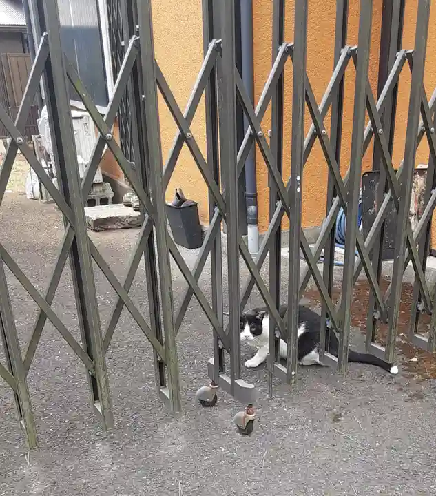 根岸八幡神社(神奈川県)