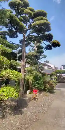 長性寺(東京都)