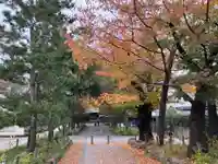 淨眞寺(東京都)