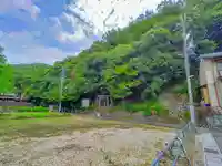 神明神社(秋葉神社)の自然