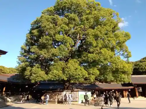 明治神宮(東京都)