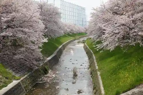 柳澤神社の周辺