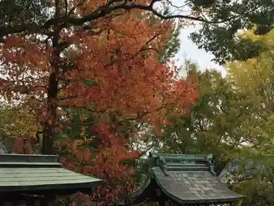 天照神社(福岡県)