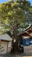 武威神社(徳島県)
