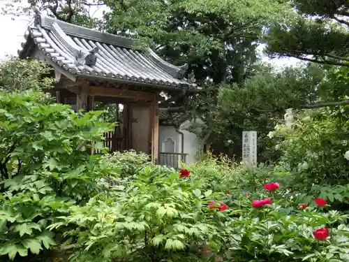 石光寺の山門