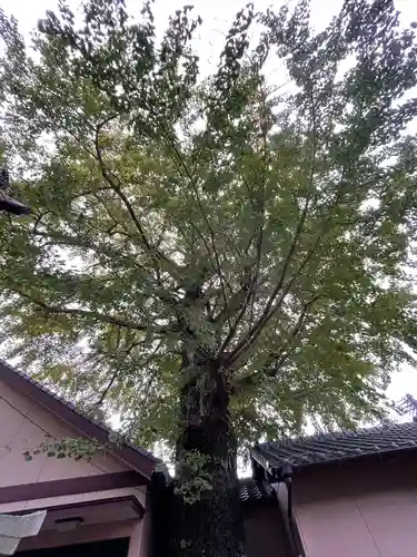 貴船神社の自然