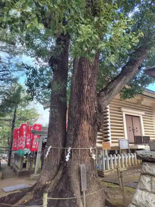 諏訪神社(東京都)
