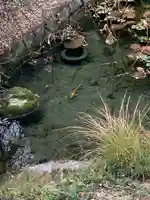 芳徳寺(奈良県)