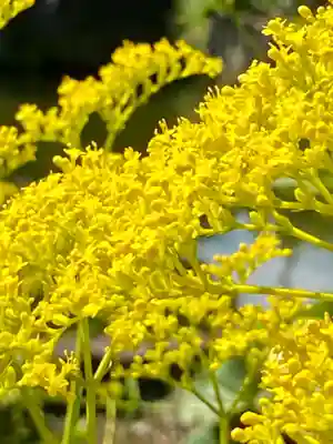 城南宮(京都府)