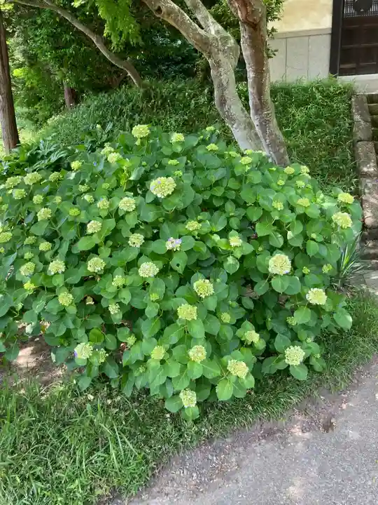 大長寺(神奈川県)
