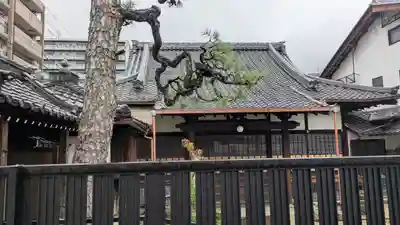 成覚寺(滋賀県)