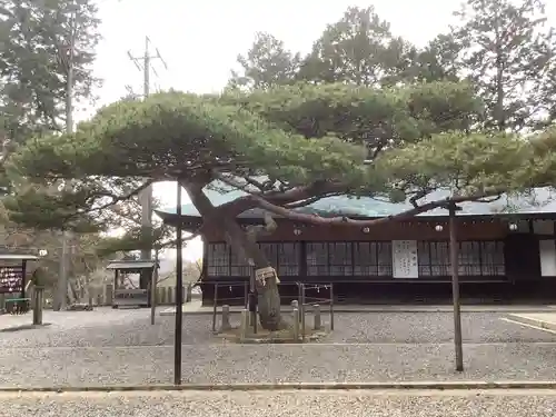 尾張冨士大宮浅間神社の自然
