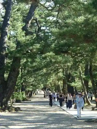 出雲大社のその他建物