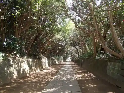 酒列磯前神社の自然
