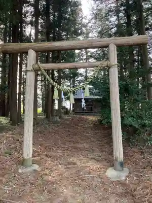 温泉神社(新宿)の鳥居