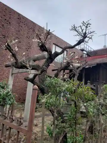 三峯神社(東京都)