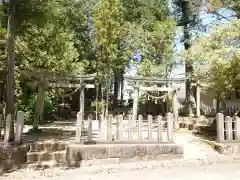 八幡宮（寺部八幡宮）の鳥居