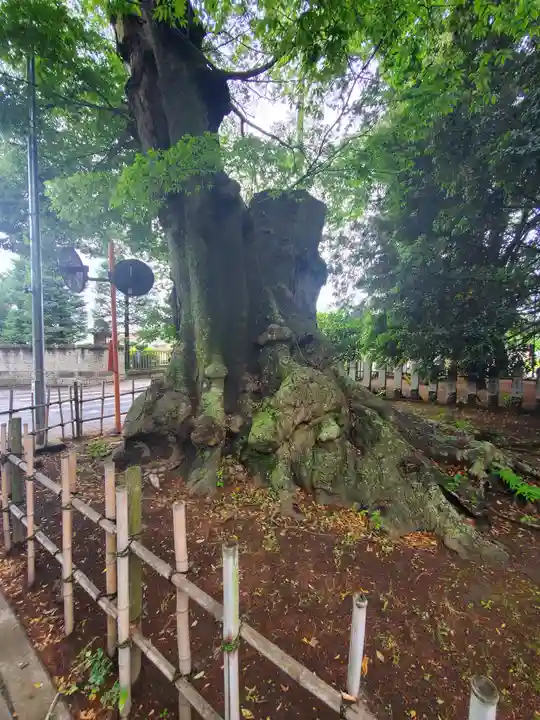 雀神社(茨城県)