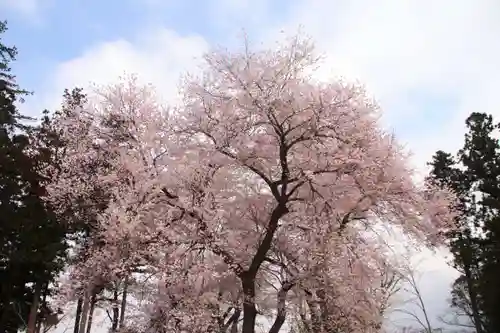 神炊館神社 ⁂奥州須賀川総鎮守⁂の自然