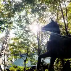 若宮神明社の狛犬