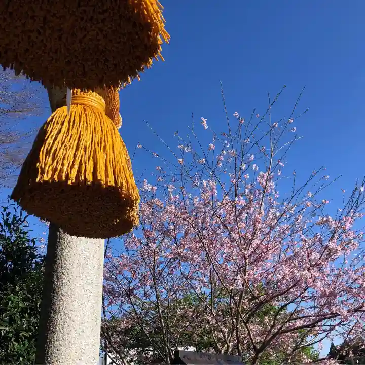 糀谷八幡宮の自然