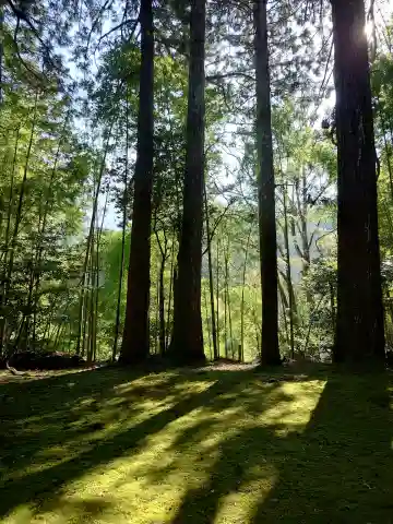 天津神社(滋賀県)