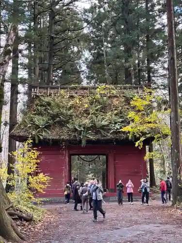 戸隠神社奥社(長野県)