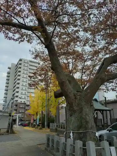 阿邪訶根神社(福島県)