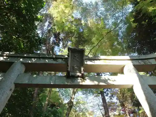 護法堂の鳥居