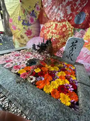 札幌諏訪神社の手水舎