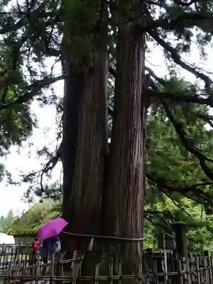 戸隠神社中社(長野県)
