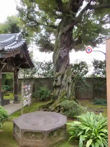 護国院のその他建物