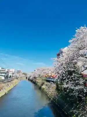 弘明寺の{uncategorized: "未分類", other: "その他", undefined: "問題あり", building: "その他建物", grave: "お墓", sacred_gate: "鳥居", guardian: "狛犬", statue: "像", buddha: "仏像", history: "歴史", nature: "自然", garden: "庭園", animal: "動物", pagoda: "塔", temizu: "手水舎", mountain_gate: "山門・神門", sanctuary: "本殿・本堂", subordinate: "末社・摂社", art: "芸術", scenery: "景色", jizo: "地蔵", ema: "絵馬", goshuin: "御朱印", omikuji: "おみくじ", items: "授与品その他", amulet: "お守り", goshuincho: "御朱印帳", eats: "食事", festival: "お祭り", votive_dance: "神楽", shichigosan: "七五三参", wedding: "結婚式", experience: "体験その他", initially: "初詣", around: "周辺", anti_infection: "感染症対策"}
