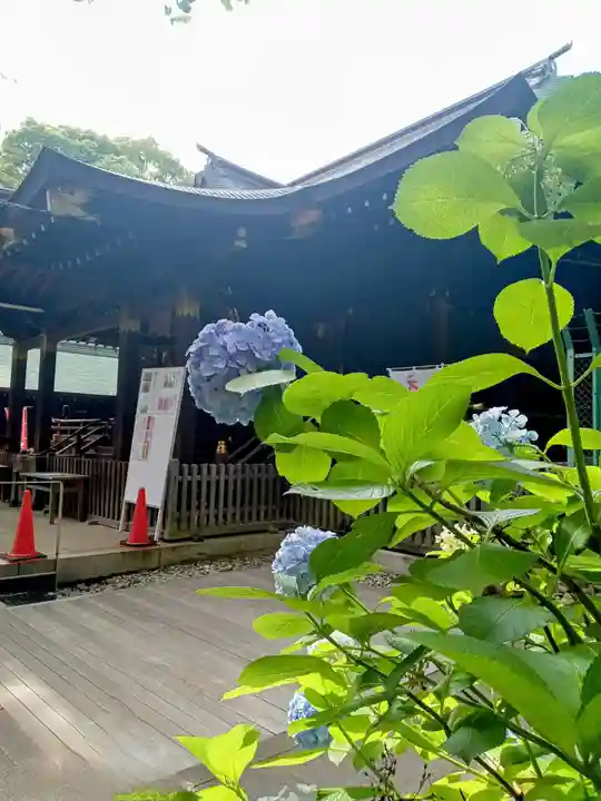 渋谷氷川神社(東京都)