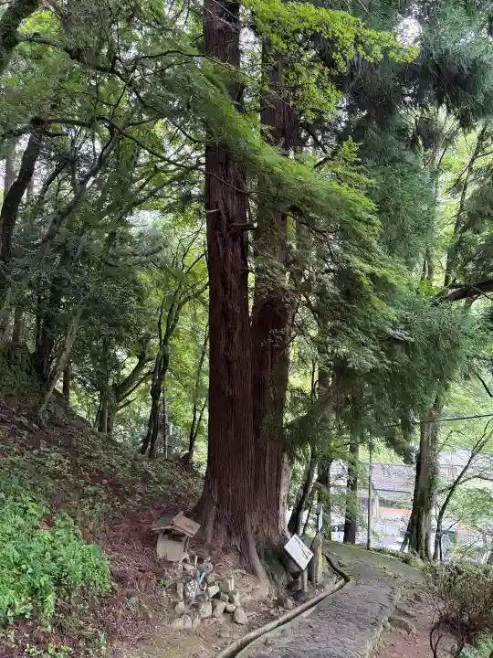 長谷寺(奈良県)