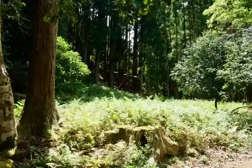 山の神神社の自然