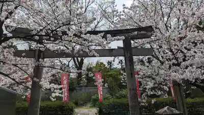 本法寺(京都府)