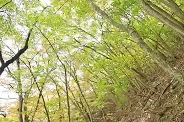 十二山神社(群馬県)
