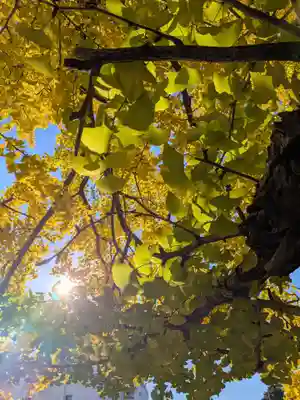 善福寺(東京都)