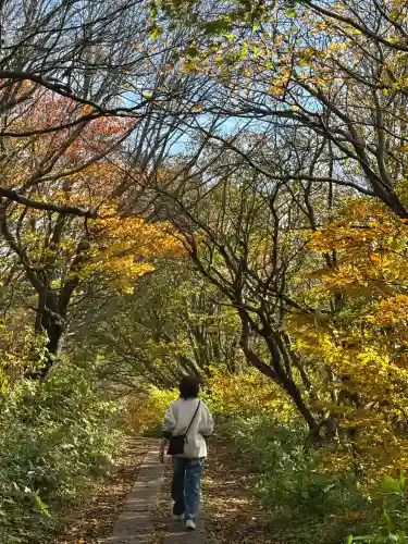 彌彦神社奥宮（御神廟）(新潟県)